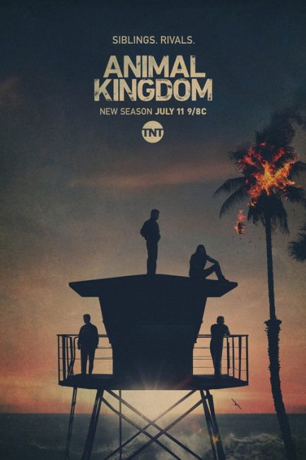 مسلسل Animal Kingdom الموسم الخامس الحلقة 4 مترجمة